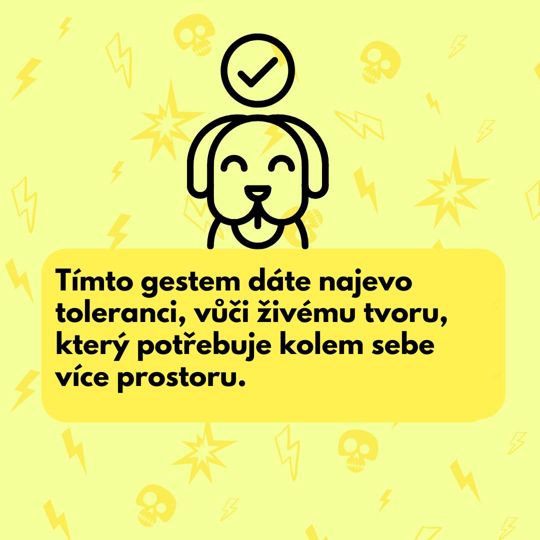 zluty satek vencimstylove  4